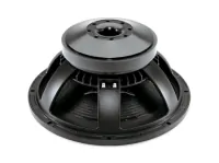B&amp;C Speakers 15TBX100