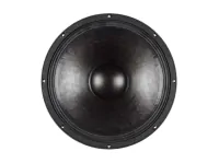 B&amp;C Speakers 15NDL88