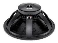 B&amp;C Speakers 18PS100