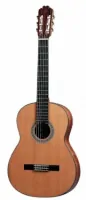 Prudencio Saez G.003