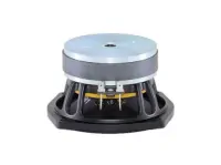 B&amp;C Speakers 5FG44