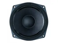 B&amp;C Speakers 6MD38