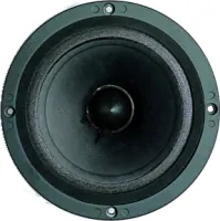 B&amp;C Speakers 6PEV13