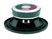 B&amp;C Speakers 6PEV13