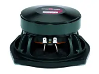 B&amp;C Speakers 6PS38