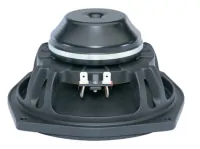B&amp;C Speakers 6NDL38