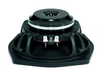 B&amp;C Speakers 6MDN44