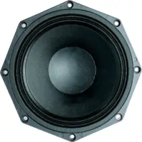 B&amp;C Speakers 8PS21