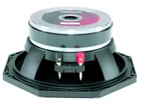 B&amp;C Speakers 8PS21