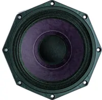 B&amp;C Speakers 8PE21
