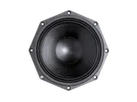 B&amp;C Speakers 8NDL51