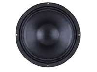 B&amp;C Speakers 10FW64
