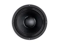 B&amp;C Speakers 10PS26