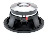 B&amp;C Speakers 10PS26