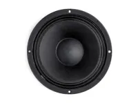 B&amp;C Speakers 10HPL64