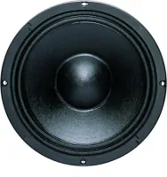 B&amp;C Speakers 10NW64