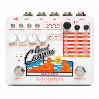 Electro-Harmonix Grand Canyon Delay and Looper