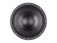 B&amp;C Speakers 12PS100