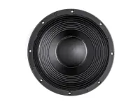 B&amp;C Speakers 12TBX100
