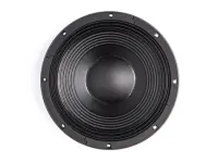 B&amp;C Speakers 12NW100