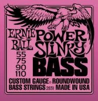 Ernie Ball P02831 Power