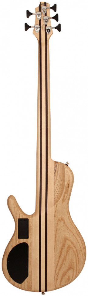 Cort A5 Plus SCMS OPN w/case