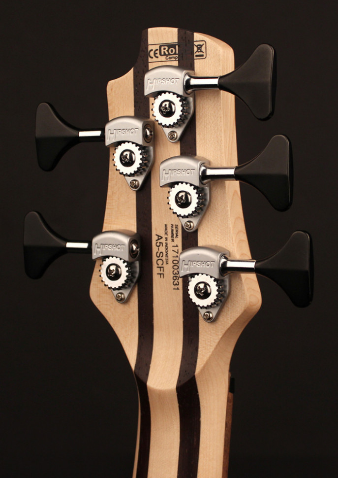 Cort A5 Plus SCMS OPN w/case