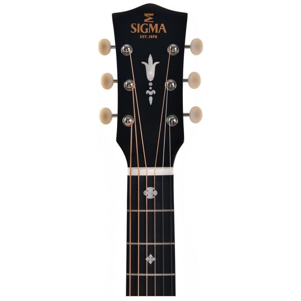 Sigma SJM-SG45-AN (LR Baggs EAS-VTC)