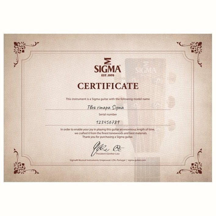 Sigma SJM-SG45-AN (LR Baggs EAS-VTC)