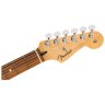 Fender Player Anniversary Stratocaster 2-Color Sunburst Fender Player Anniversary Stratocaster 2-Color Sunburst