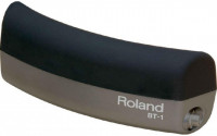 Roland BT1 Roland