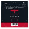 PRS Classic Custom Light Guitar Strings 9.5-44