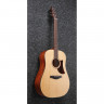 Ibanez AAD100