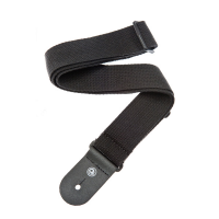 Planet Waves PW50CT00