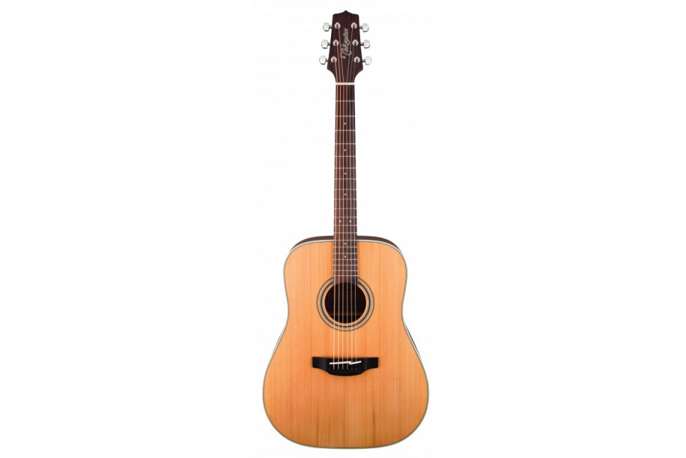 Takamine GD20-NS