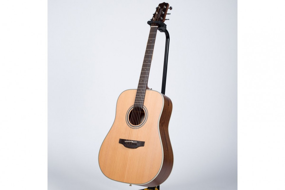Takamine GD20-NS