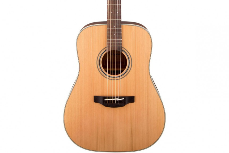 Takamine GD20-NS