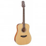 Takamine GD20-NS