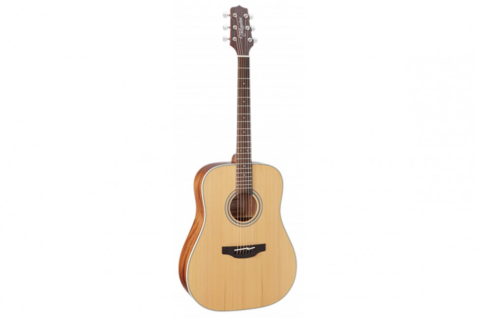 Takamine GD20-NS