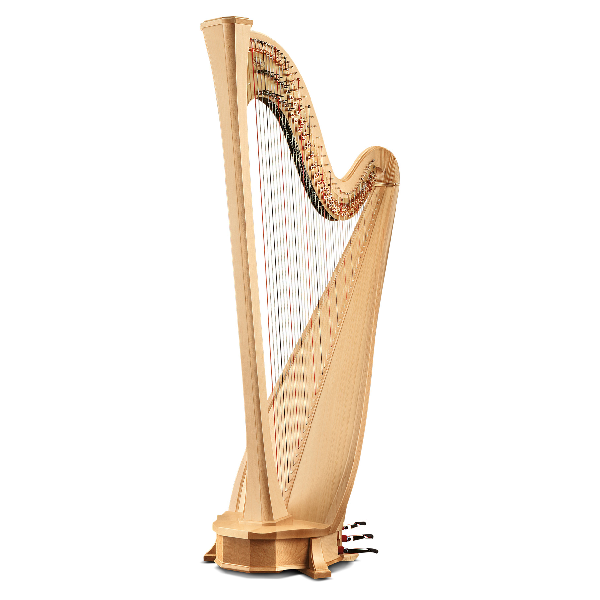 Salvi Arion SG Salvi Arion SG