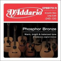 D'Addario EPBB170-5 Acoustic Bass Phosphor Bronze 5 String