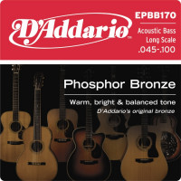 D'Addario EPBB170 Acoustic Bass Phosphor Bronze 4 String