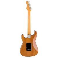 Fender American Pro II Stratocaster Roaster Pine Natural
