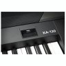 Kurzweil KA-120 Kurzweil KA-120