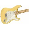 Fender PLAYER STRATOCASTER MN BCR Fender PLAYER STRATOCASTER MN BCR