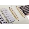 Schecter NICK JOHNSTON TRAD H/S/S ASNW