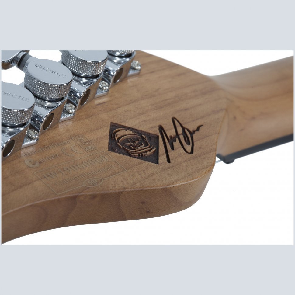 Schecter NICK JOHNSTON TRAD H/S/S ASNW