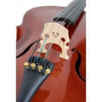 Cervini HC-100 4/4