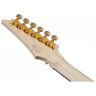 Ibanez RGA622XH BK