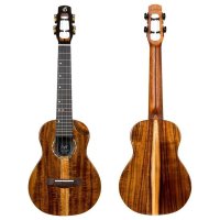 Flight Spirit Concert EQ-A